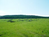 CNV00013.JPG
