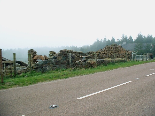 CNV00017.JPG