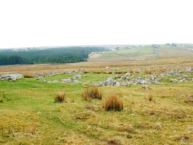 CNV00028.JPG