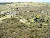 CNV00005.JPG