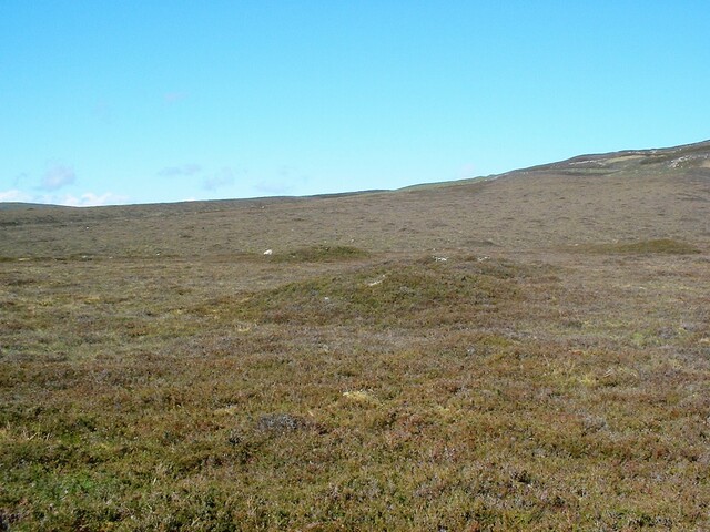 CNV00006.JPG