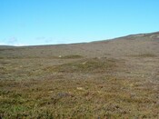 CNV00006.JPG