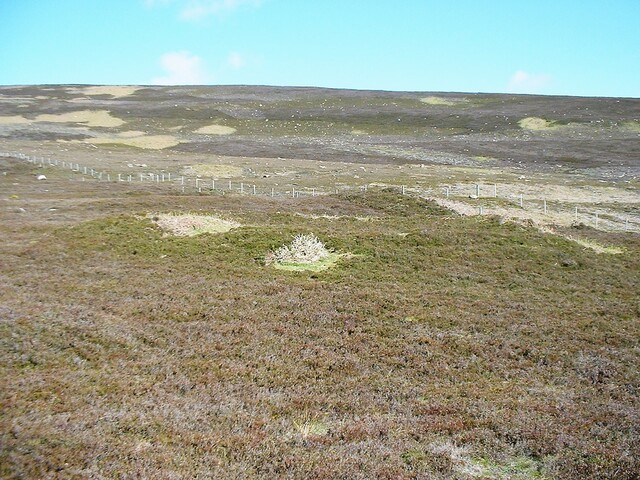 CNV00008.JPG
