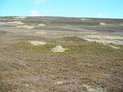 CNV00008.JPG