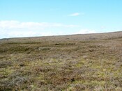CNV00009.JPG