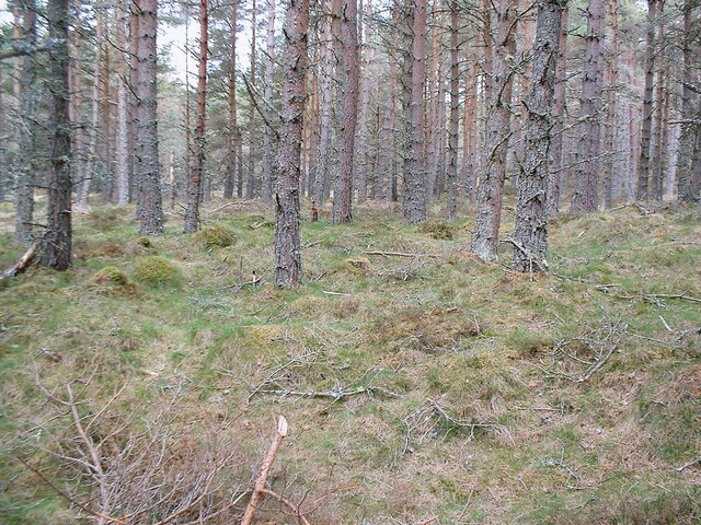 CNV00001.JPG