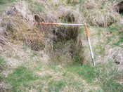 CNV00003.JPG