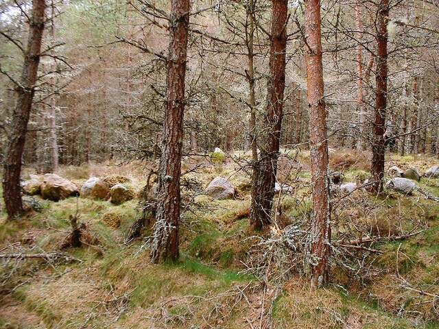 CNV00006.JPG