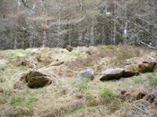 CNV00007.JPG