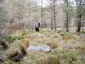 CNV00009.JPG