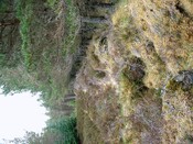 CNV00015.JPG