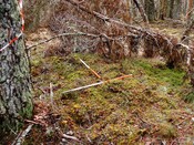 CNV00001.JPG