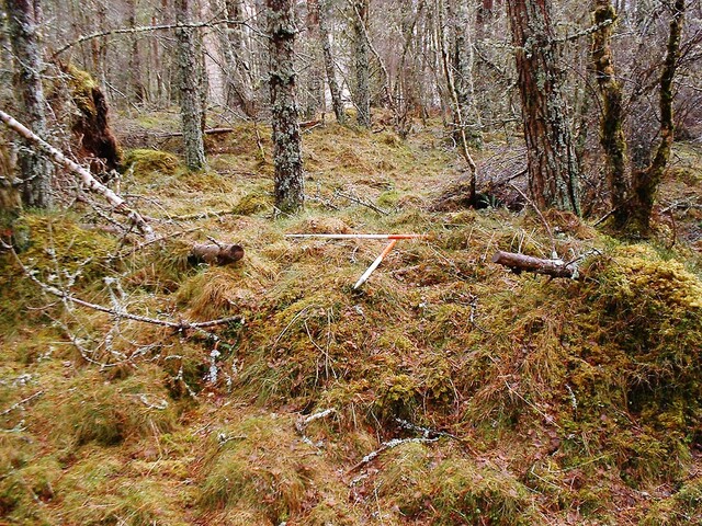 CNV00002.JPG