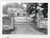 Catlodge - photograph.jpg