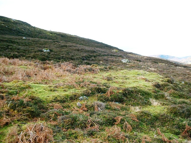CNV00001.JPG