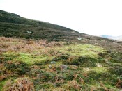 CNV00001.JPG