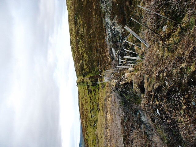 CNV00003.JPG