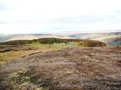 CNV00004.JPG