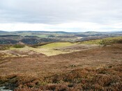CNV00005.JPG