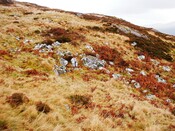 CNV00002.JPG
