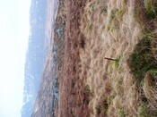 CNV00007.JPG