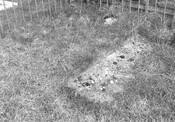 Killianan - photograph.jpg