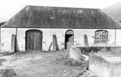 Lienassie - photograph.jpg