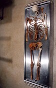 Loth Man - full view.JPG