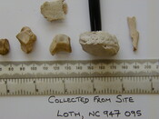 Loth remains 11.jpg