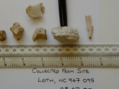Loth remains 12.jpg