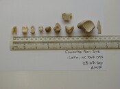 Loth remains 2.jpg