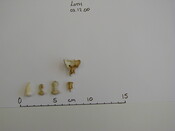Loth remains Dec00 - 2.jpg