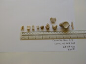 Loth remains.jpg
