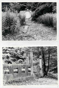 Rosehaugh estate, Fletcher Burial Enclosure  - photographs.jpg