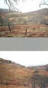 Uladail-Glen Geall.jpg