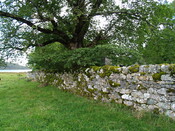 NC22SW0025 - Assynt Old Parish Church Burial Ground 11.JPG