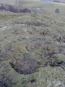 NC40SW0010c.jpg