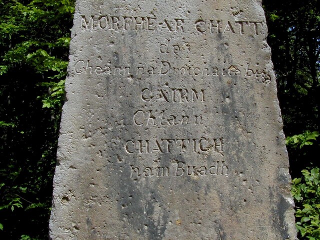 NC80SW0012 - JW2001-2.JPG