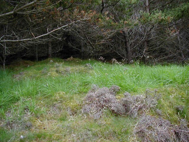 NC82NE0003 - view from fence.jpg