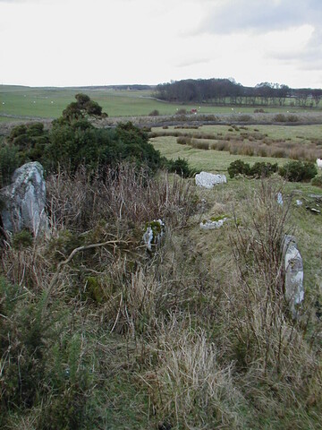ND13SE0007.jpg