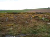 ND23NE0006 - Hill O Many Stanes_01.JPG