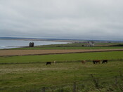 ND36SE0001 - Keiss castle 2.JPG