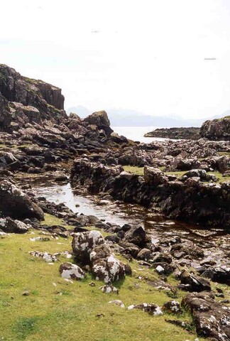 NG31NE0008a.jpg