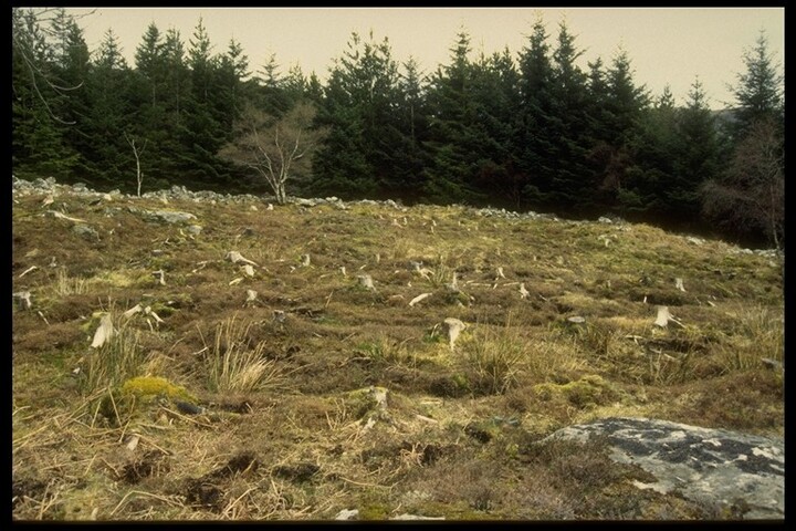 NG83SW0002 - Interior, Fort, Carn na Sean-Chreige, Lochalsh.jpg