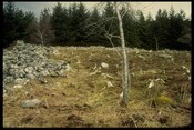 NG83SW0002 - Interior, NW side, Fort, Carn na Sean-Chreige, Lochalsh.jpg