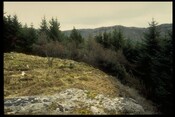 Wall & Cliff, SW side.jpg