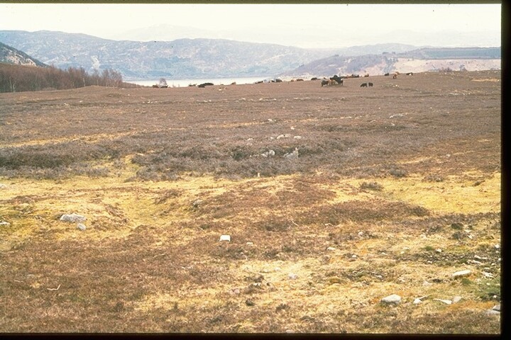 NH53SW0014 - Cairn Cemetery, Garbeg, Drumnadrochit.jpg