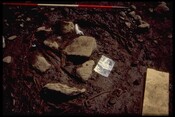 NH54NE0002 - Crannog, Redcastle, Beauly Firth, Killearnan 1.jpg