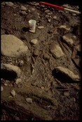 NH54NE0002 - Crannog, Redcastle, Beauly Firth, Killearnan 4.jpg