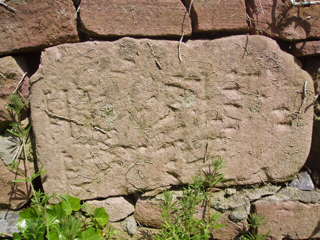 NH54NE0044HAW12.JPG